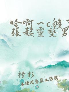 哈啊～c够了吗张起灵双男主小说