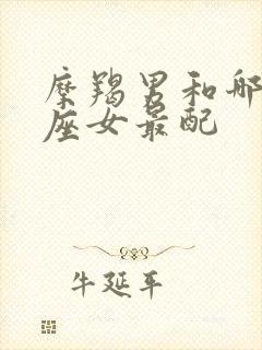 摩羯男和哪个星座女最配