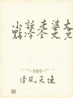 小说老婆大人有点冷全文免费阅读