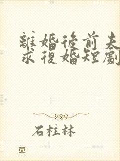 离婚后前夫哭着求复婚短剧演员表