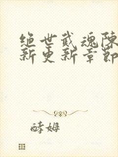 绝世武魂陈枫最新更新章节