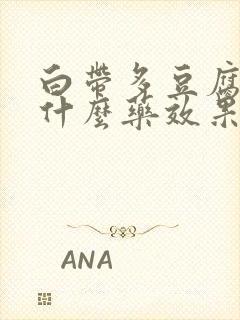 白带多豆腐渣用什么药效果好