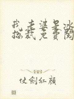 我老婆是冰山女总裁免费阅读