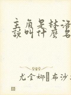 主角是林洛的小说叫什么名字