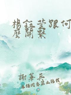 杨钰莹跟何炅什么关系