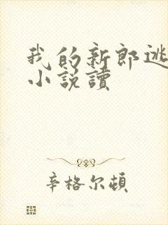 我的新郎逃婚了小说读