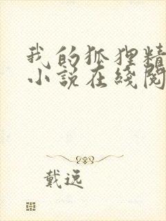 我的狐狸精后妈小说在线阅读