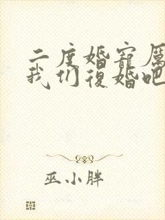 二度婚宠厉太太我们复婚吧全文免费阅读