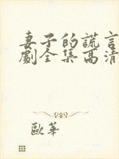 妻子的谎言电视剧全集高清