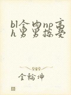 bl全肉np高h男男总受