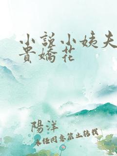 小说小姨夫的富贵娇花