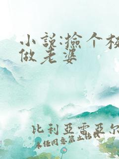 小说:捡个校花做老婆