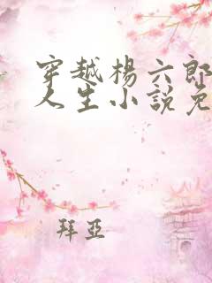穿越杨六郎猎艳人生小说免费阅读全文