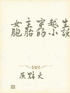 女主穿越生了三胞胎的小说