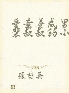 爱意养成男主姓裴叔叔的小说