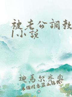 被老公调教1v1小说