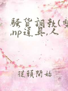 骚货调教(双性,np道具,人