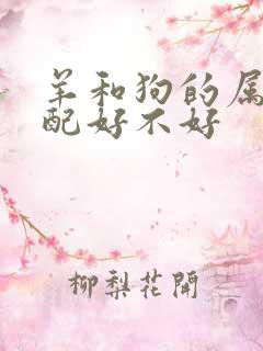 羊和狗的属相婚配好不好