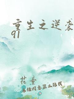 重生之逆袭1991