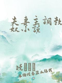 夫妻主调教绿帽奴小说