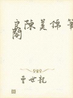 良陈美锦 笔趣阁