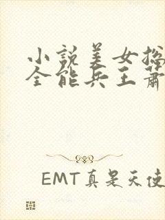 小说美女总裁的全能兵王萧晨