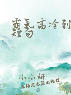 霸气高冷到爆的短句