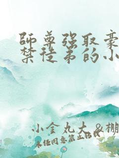 师尊强取豪夺囚禁徒弟的小说