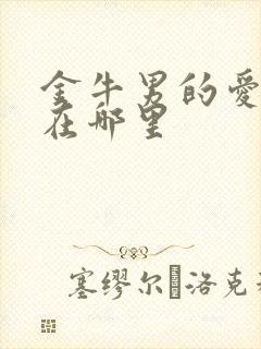 金牛男的爱体现在哪里