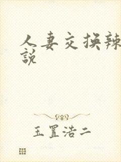 人妻交换辣文小说