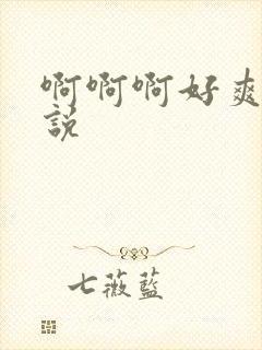 啊啊啊好爽h小说