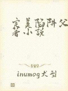 完美陷阱父女原著小说