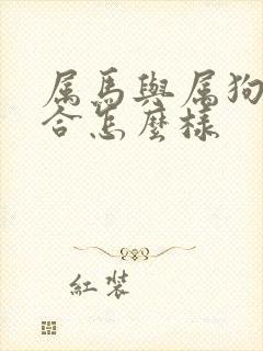 属马与属狗相结合怎么样