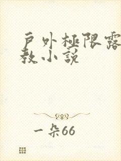 户外极限露出调教小说