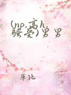 (np,高h,骚受)男男