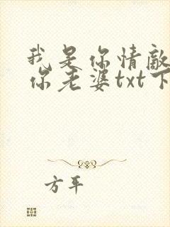 我是你情敌不是你老婆txt下载