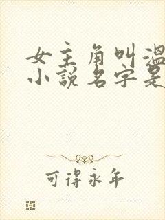 女主角叫温宁的小说名字是什么