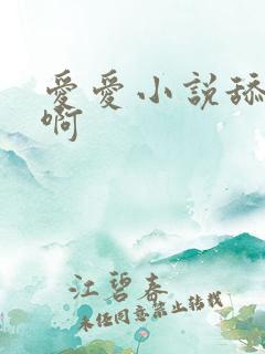 爱爱小说舔啊啊啊