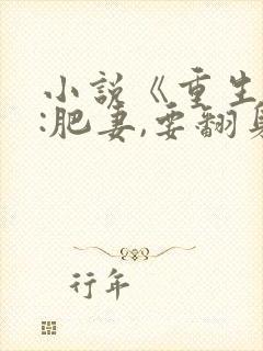 小说《重生九零:肥妻,要翻身》