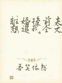 离婚后前夫总是想追我全文免费阅读