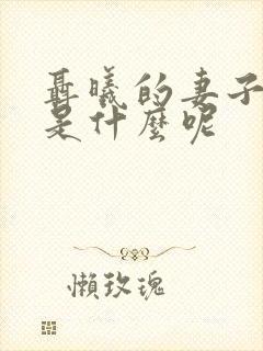 聂曦的妻子结局是什么呢