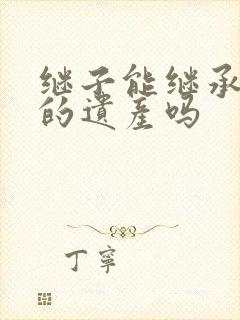 继子能继承后妈的遗产吗