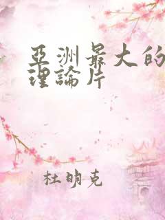 亚洲最大的午夜理论片