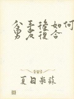 分手后如何挽回男友复合