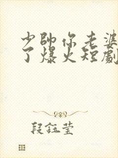 少帅你老婆又跑了爆火短剧