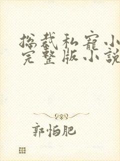 总裁私宠小娇妻完整版小说