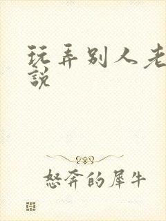 玩弄别人老婆小说