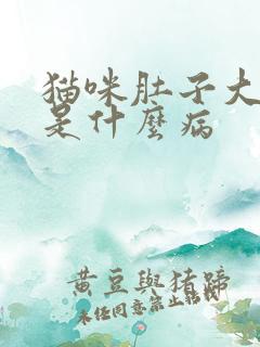 猫咪肚子大尿黄是什么病