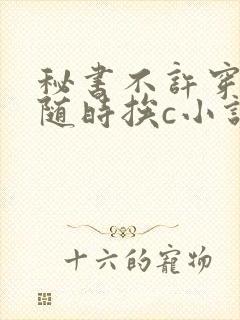 秘书不许穿内裤随时挨c小说