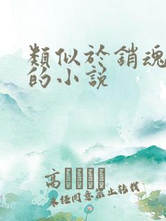 类似于销魂艳婢的小说